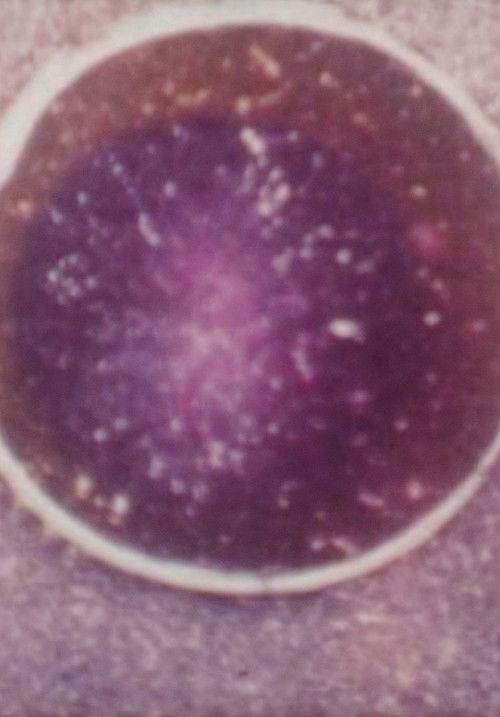 S/Título (1972) poster