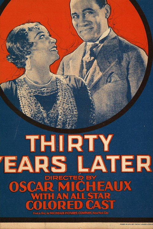 Thirty Years Later (1928) poster