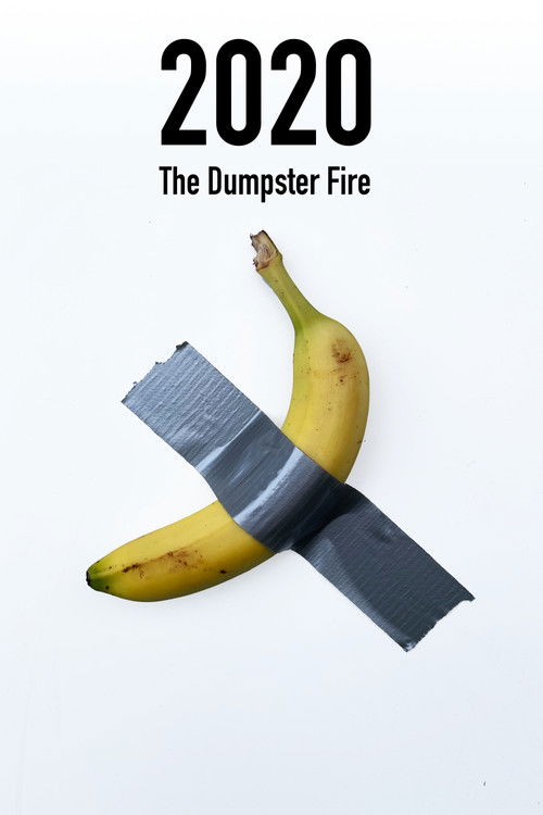 2020: The Dumpster Fire (2021) poster