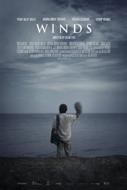 Winds (2013) poster