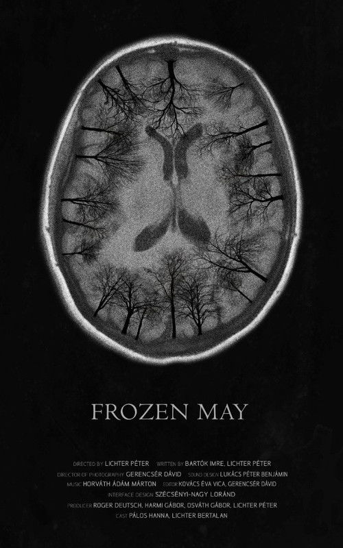 Frozen May (2017) poster
