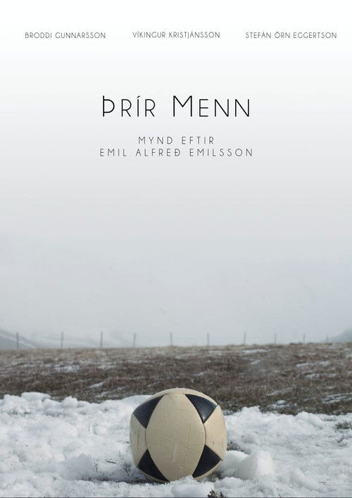 Three men (2017) poster