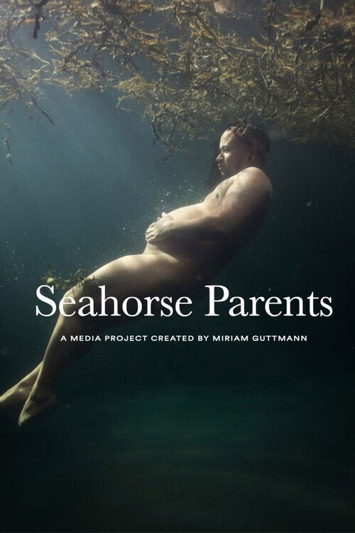 Seahorse Parents (2023) poster