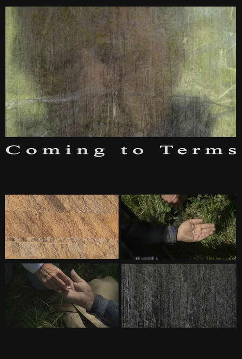 Coming to Terms (2013) poster