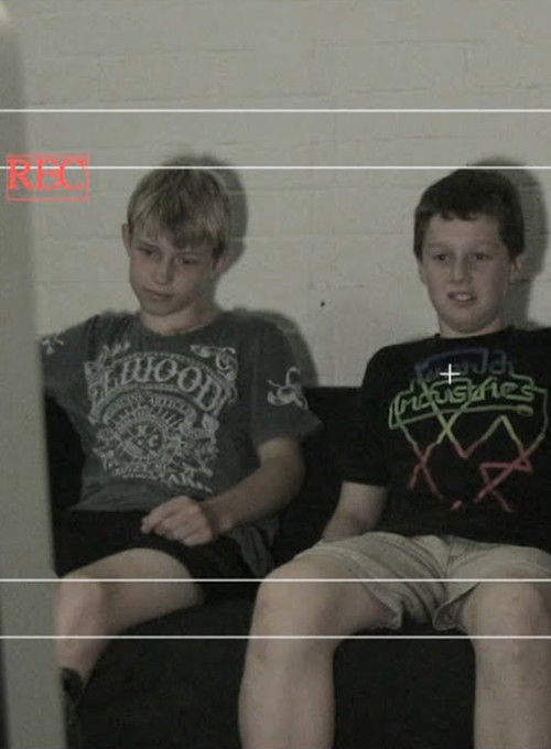 Pretty Normal Activity (2013) poster