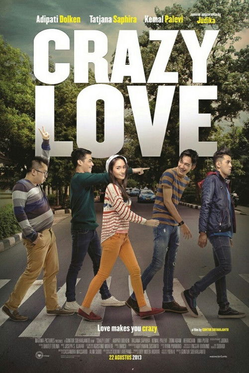 Crazy Love (2013) poster