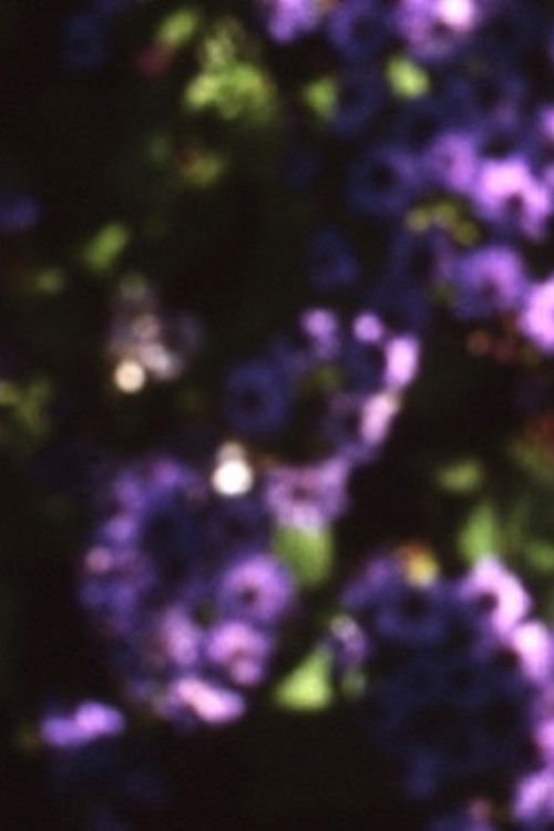 Abaton (2017) poster