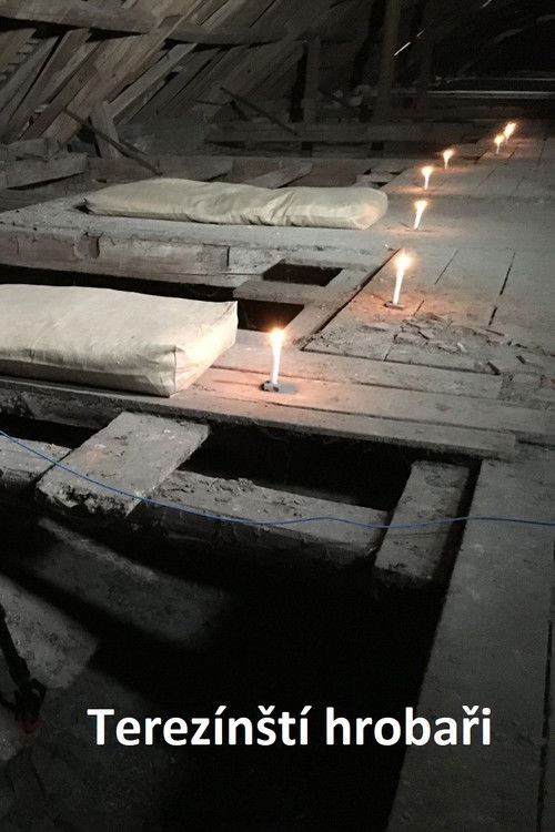 The Terezin Gravediggers (2020) poster