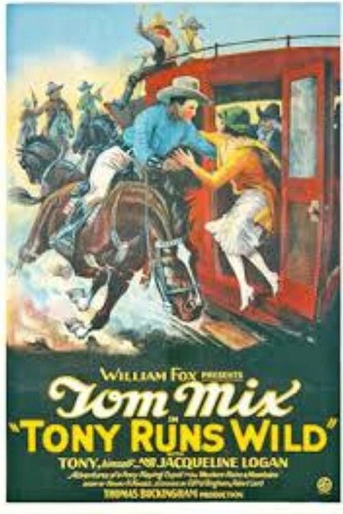 Tony Runs Wild (1926) poster