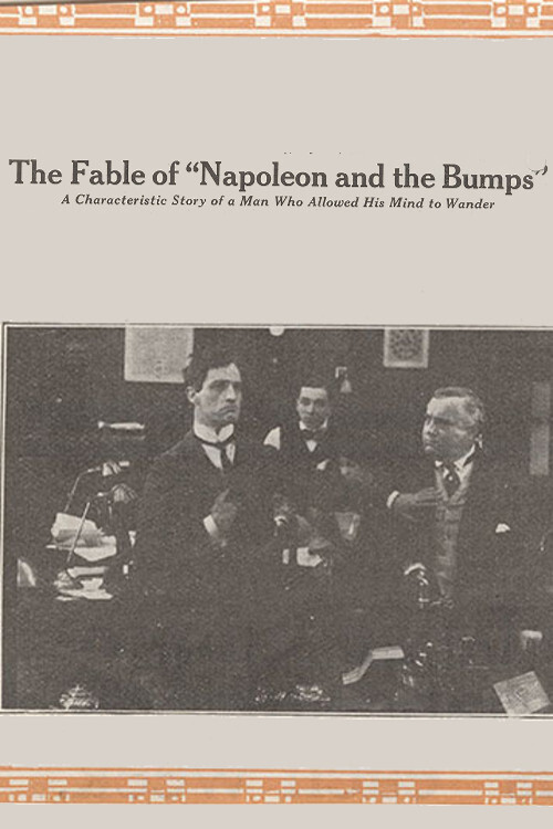 The Fable of Napoleon and the Bumps (1914) poster