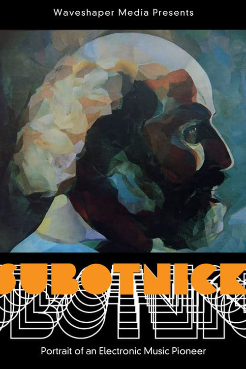 Subotnick: Portrait of an Electronic Music Pioneer (2022) poster