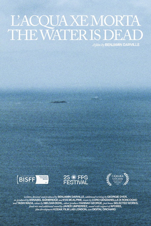 L' Acqua Xe Morta / The Water Is Dead (2025) poster