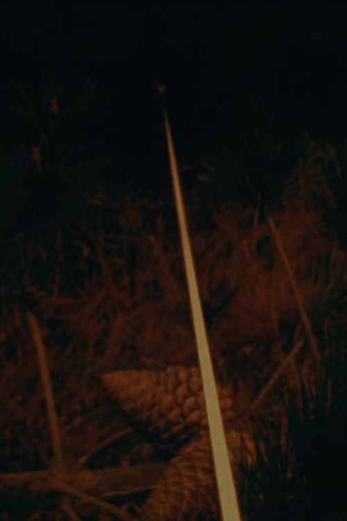 Limn IV (1988) poster