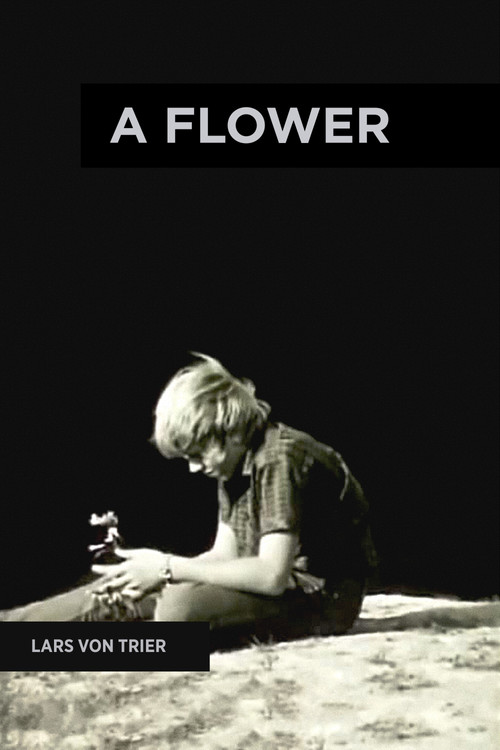 En blomst (1971) poster
