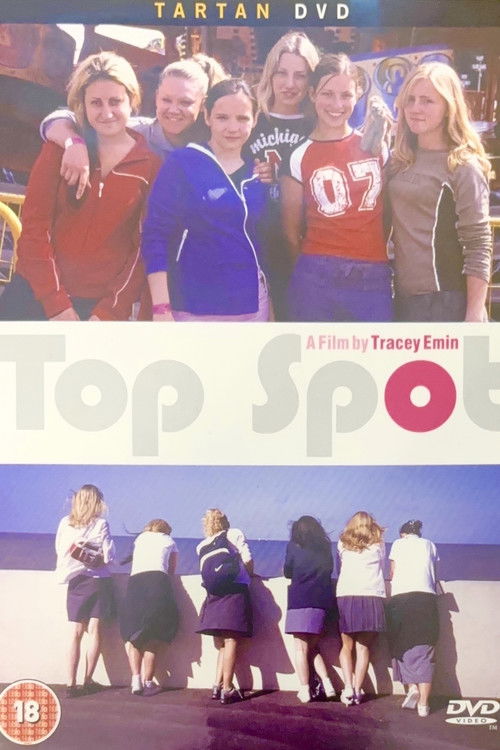 Top Spot (2004) poster