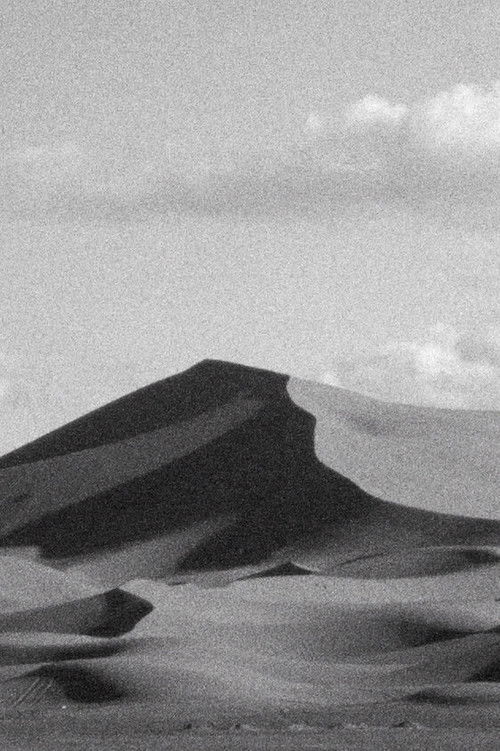 Camera Sick (2020) poster