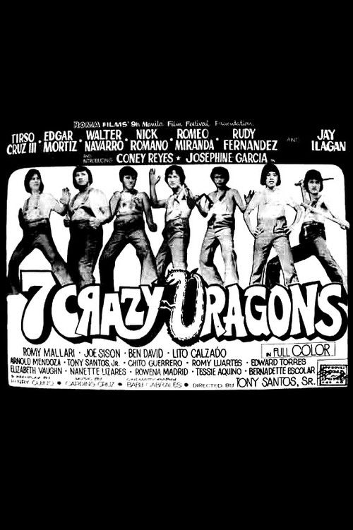 7 Crazy Dragons (1974) poster
