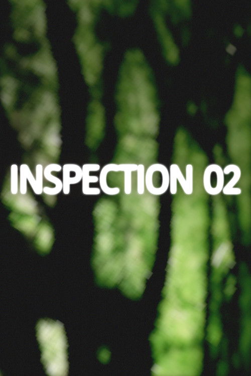 Inspection 02 (2025) poster