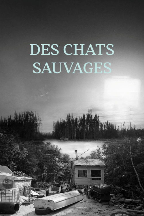 Des chats sauvages (2024) poster