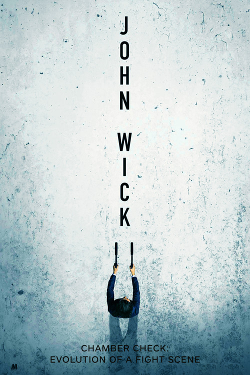 Chamber Check: Evolution of a Fight Scene (2017) poster