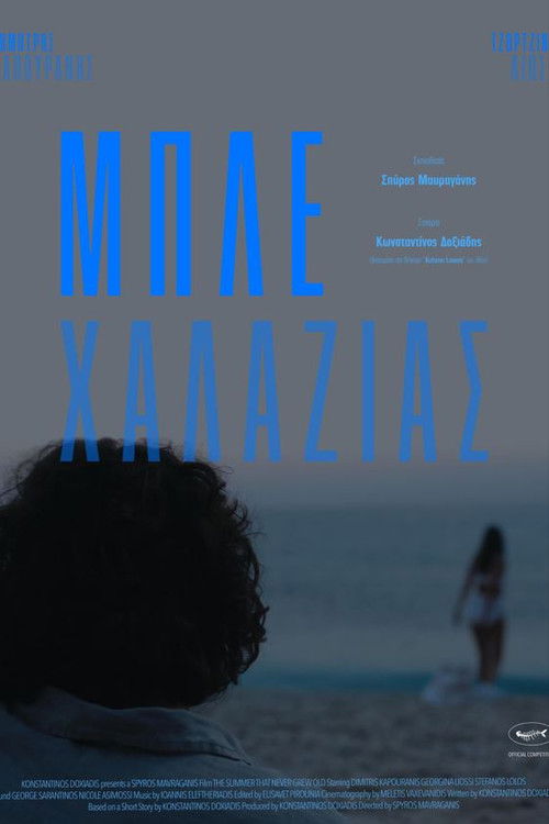 The Summer That Never Grew Old (2023) poster