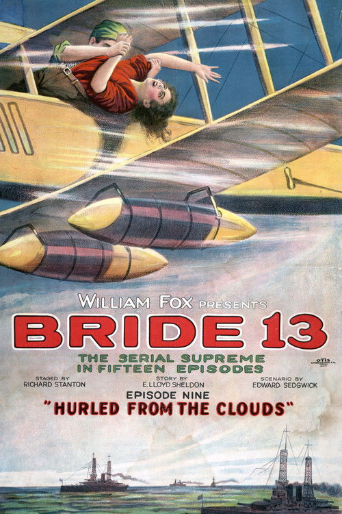 Bride 13 (1920) poster