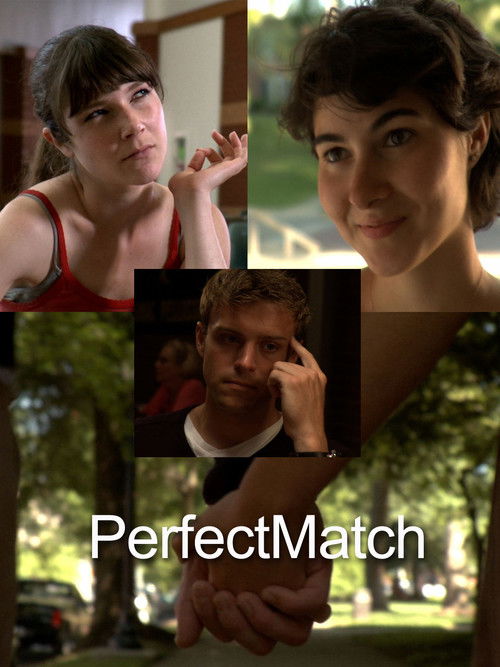 PerfectMatch (2012) poster
