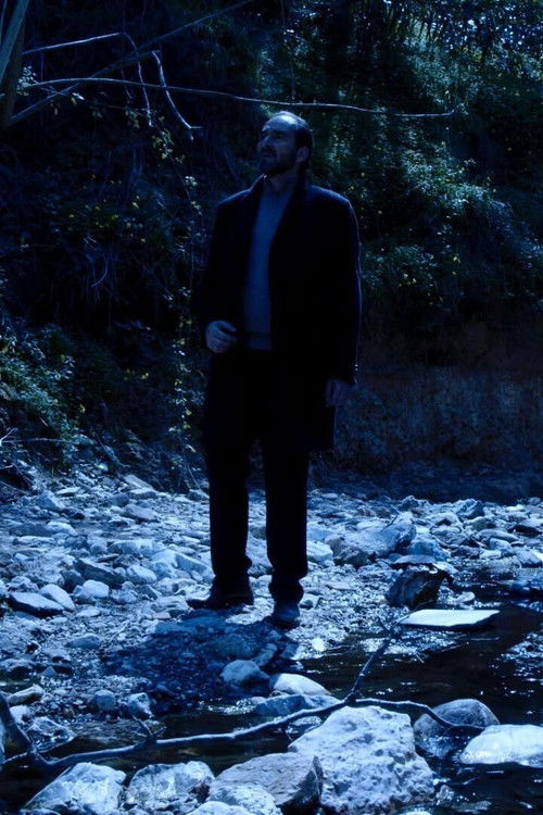 The Winter Journey (2022) poster