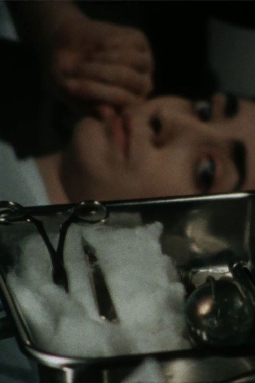 Johnny Panic (1999) poster