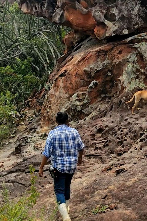 Afluente (2025) poster