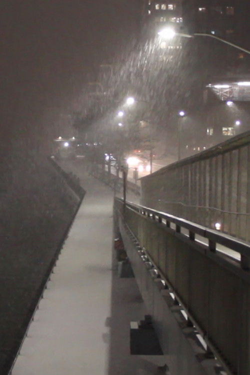 Nor/East/River (2020) poster