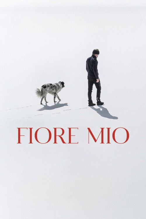 Fiore mio (2024) poster