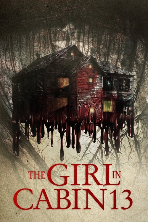 The Girl in Cabin 13 (2021) poster