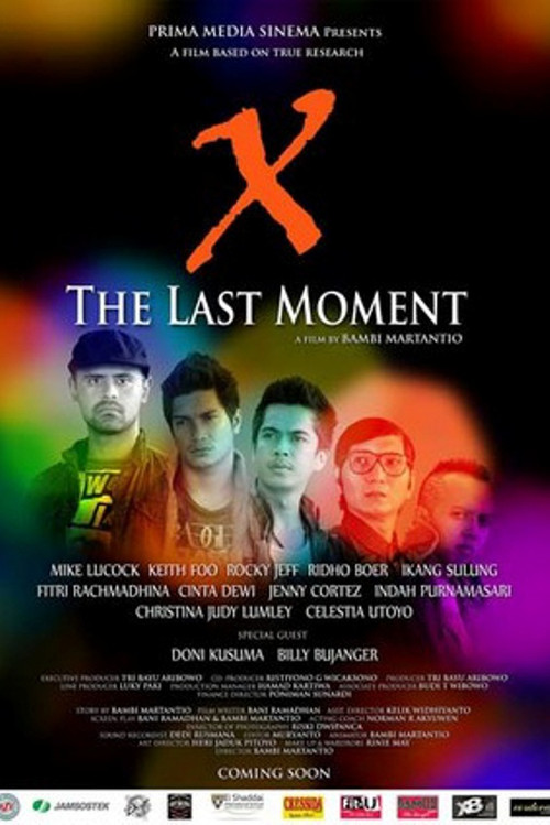 X- The Last Moment (2011) poster