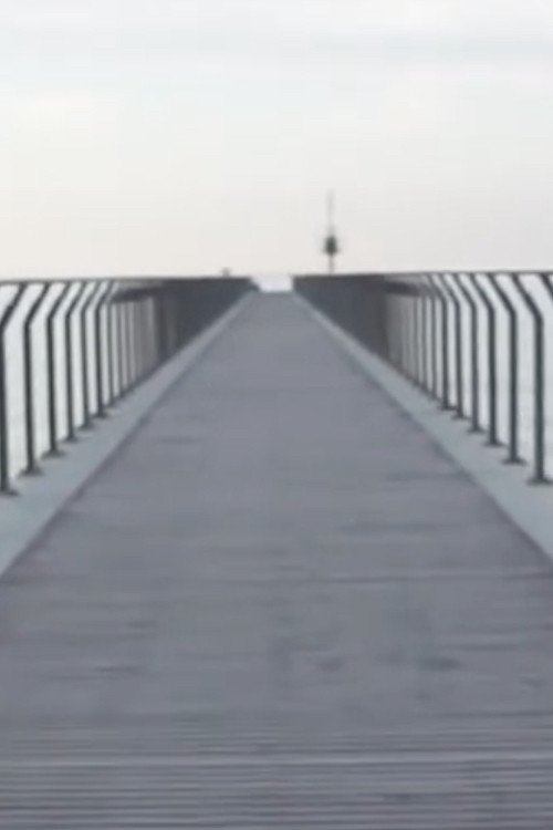 I'll Never Forget the Last Time (2017) poster