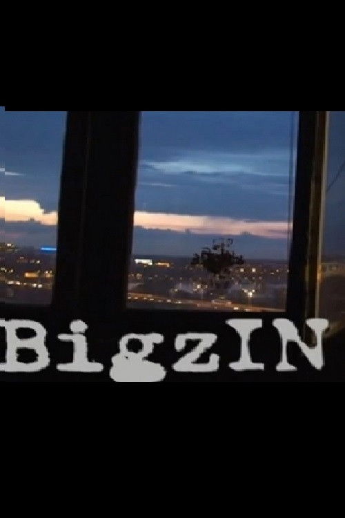 BigzIN (2012) poster