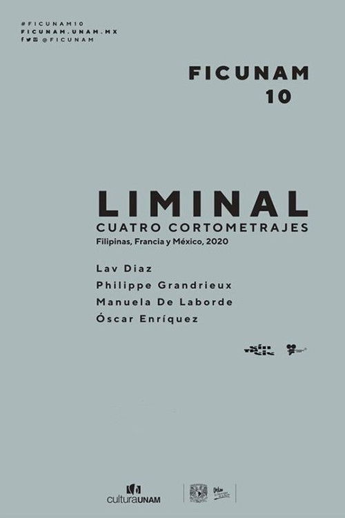 Liminal (2020) poster