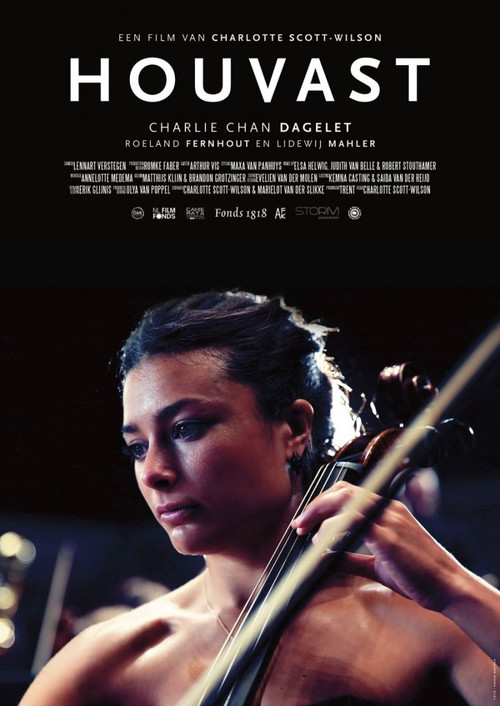 Houvast (2016) poster