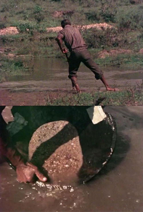 Música Barroca Mineira (1981) poster