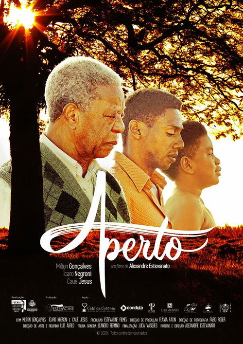 Aperto (2019) poster