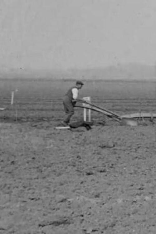 Sons of the Soil (1915) poster