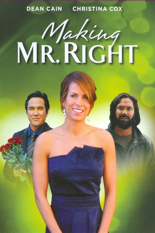 Making Mr. Right (2008) poster
