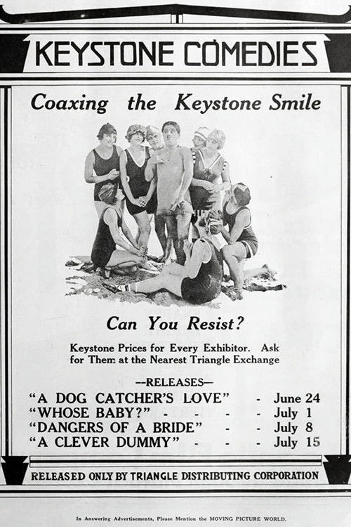 Dangers of a Bride (1917) poster