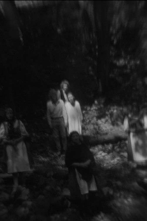 Távolodó hegyek emlékezete (2024) poster