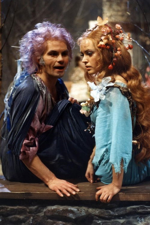 Meluzína (1980) poster