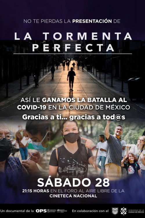 La tormenta perfecta (2022) poster