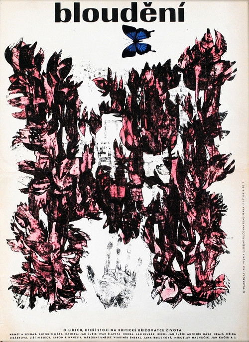 Bloudění (1966) poster
