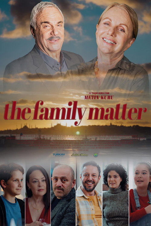 Aile Meselesi (2025) poster