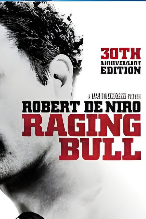 Raging Bull: Reflections on a Classic (2011) poster