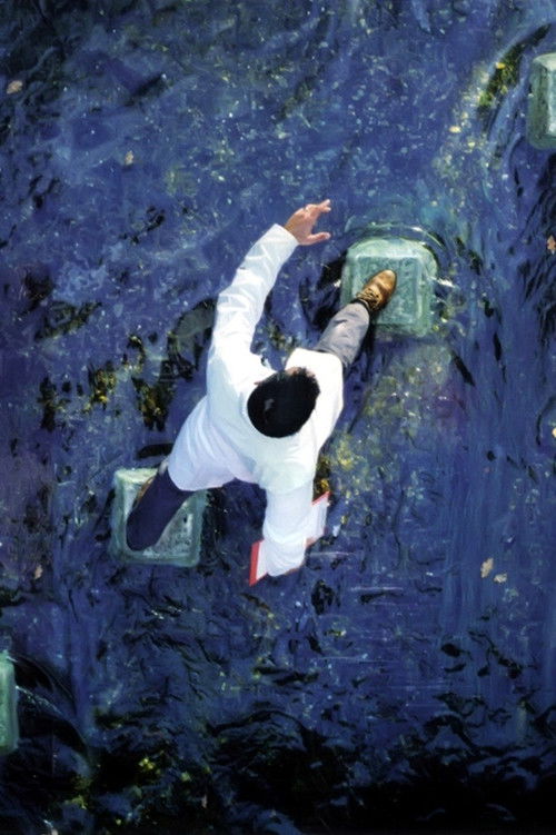 Alan Parsons - A valid path (2006) poster